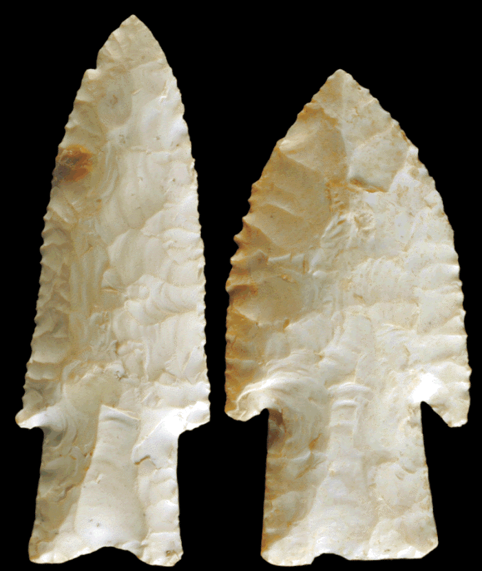 Two Hardin Barbed points with thinned bases.