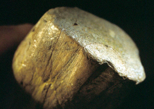Ene view, ivory billet, Blackwater Draw site, New Mexico.