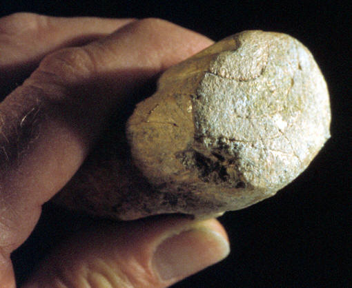 End view, ivory billet,  Blackwater Draw site, New Mexico.