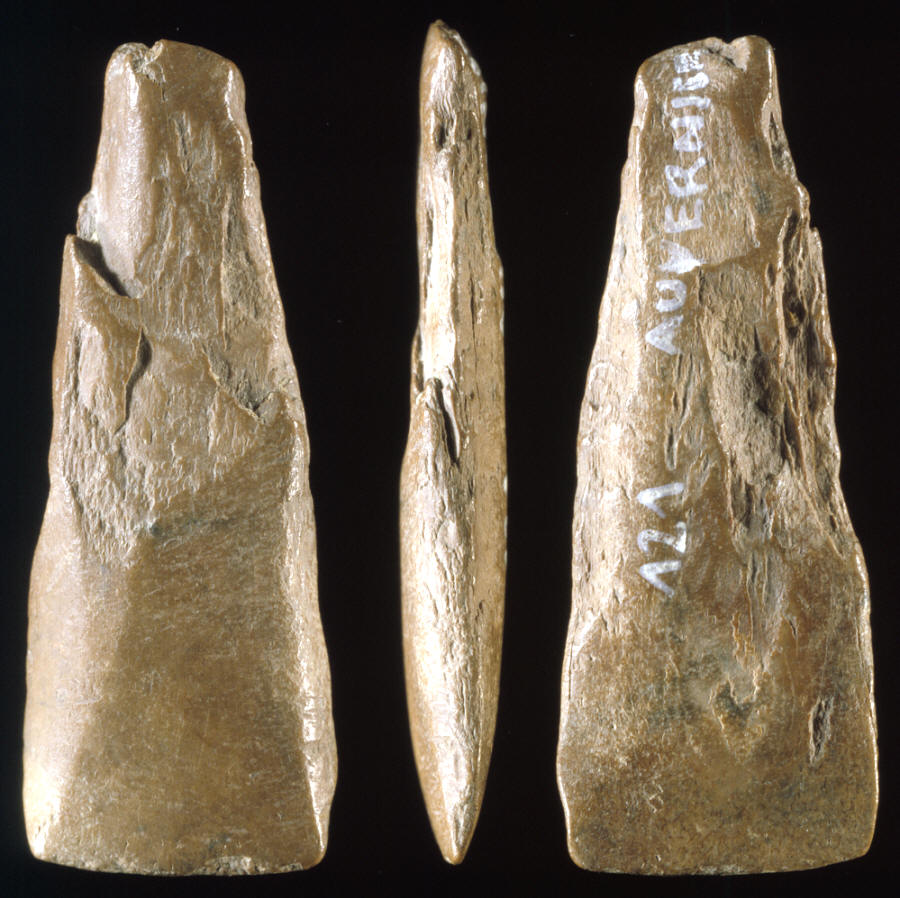 Small bone chisel from Auvernier site Switzerland.