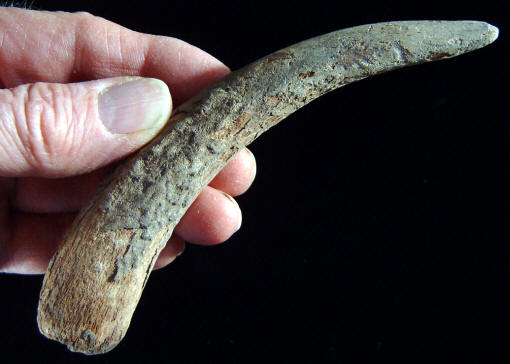 Antler tine pressure flaker.