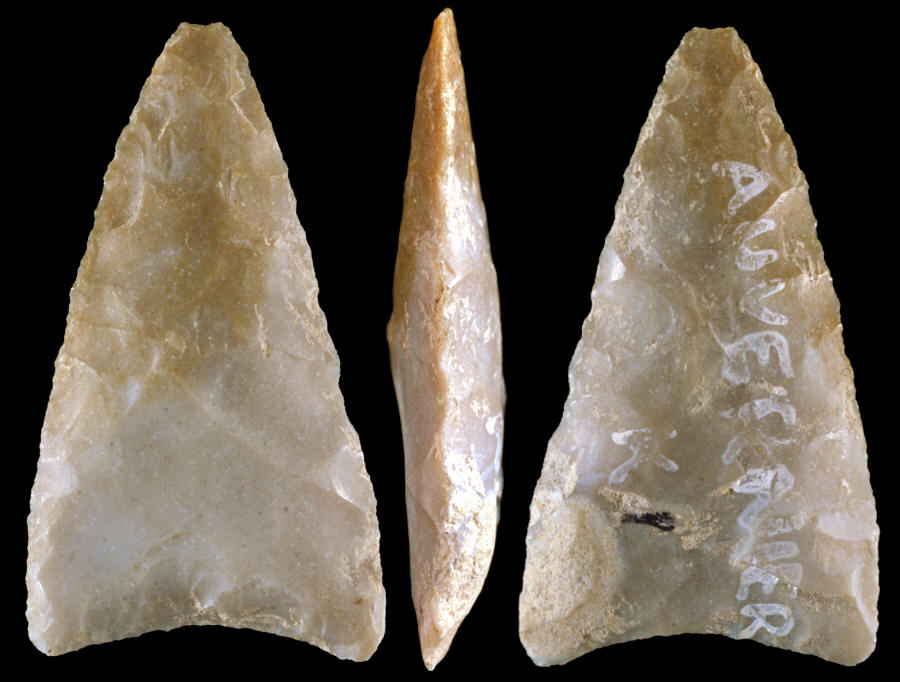 Triangular point from Swiss lake dweller site.