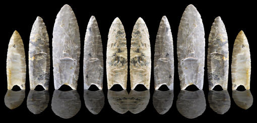 Fluted points from the Lamb site.