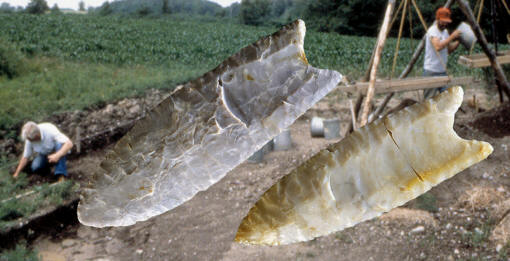 Fluted points & Lamb site excavation.