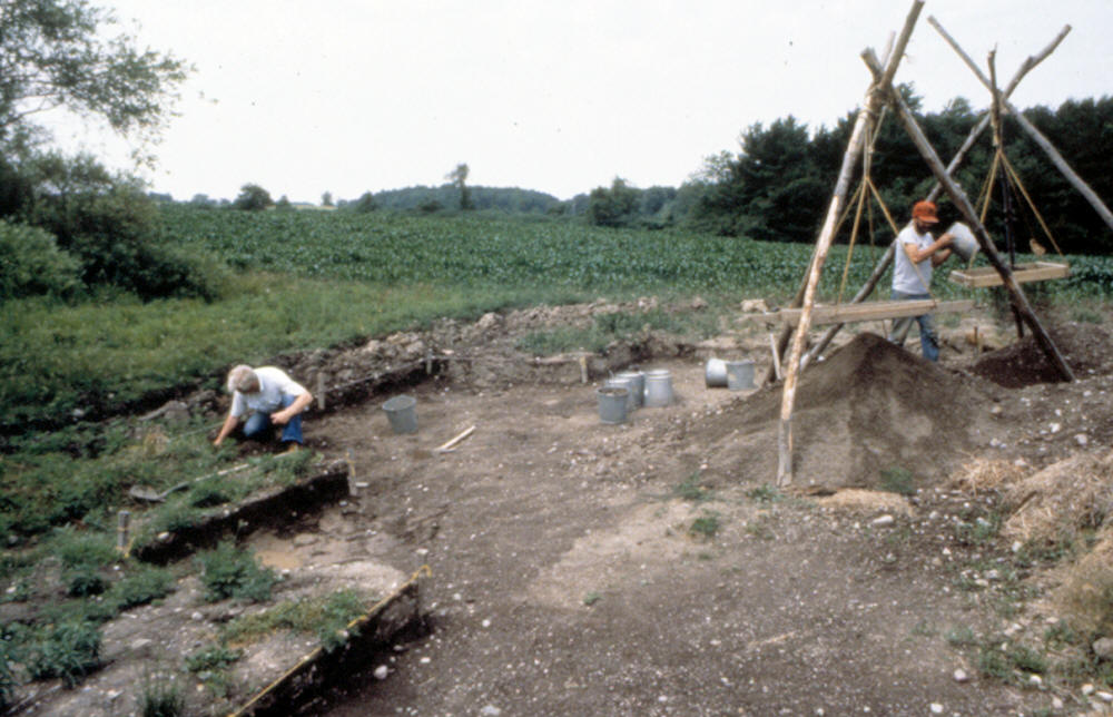 Excavation area of the Lamb site in 1988.