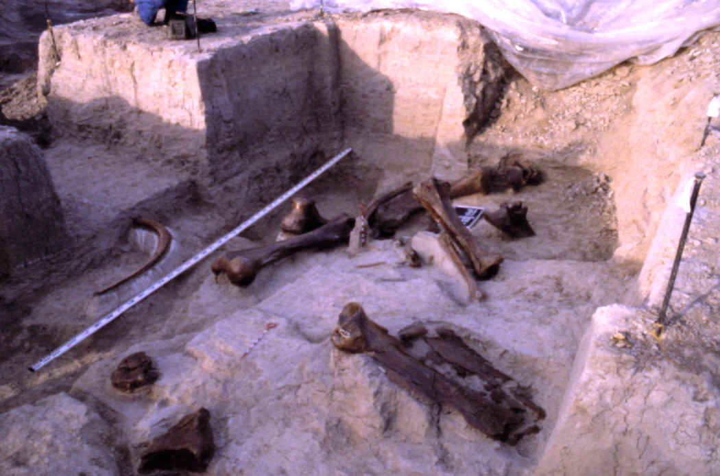 Excavation in progress on the Lange-Ferguson site.