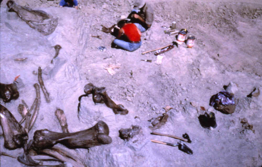 Excavation in progress on the Lange-Ferguson site.