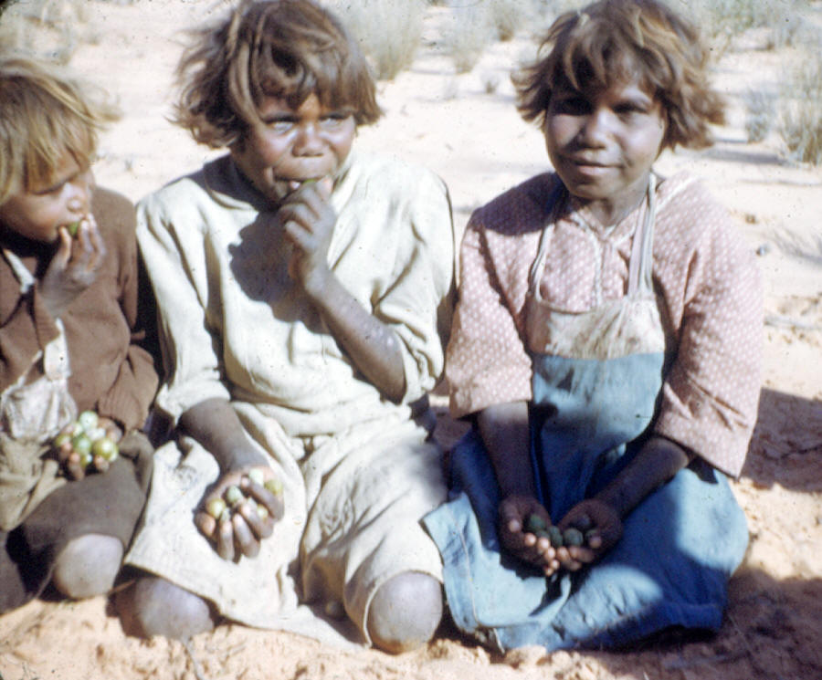 Three aboriginal Australian children eating berries.