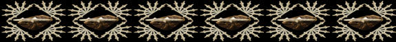 Polished chert lizard abstract image.