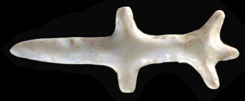 Polsihed chert lizard from Calhoun Co., Illinois.