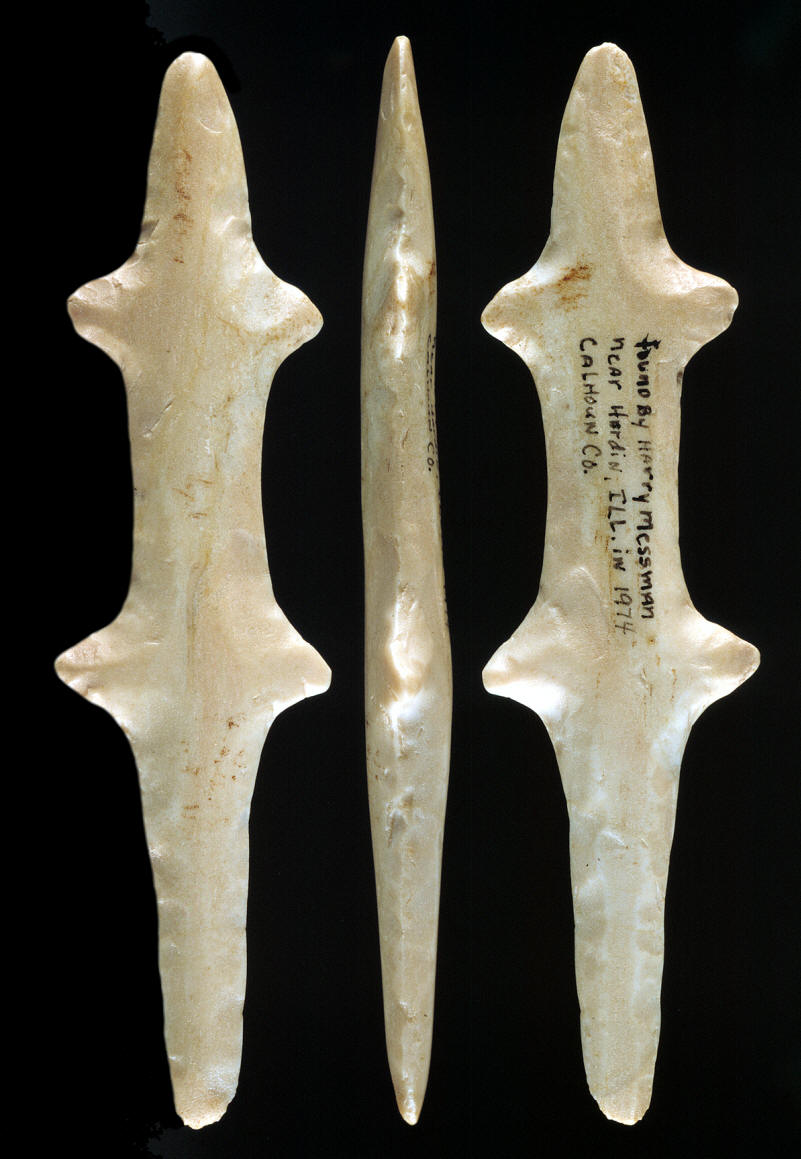 Polished chert lizard from Calhoun Co., Illinois.