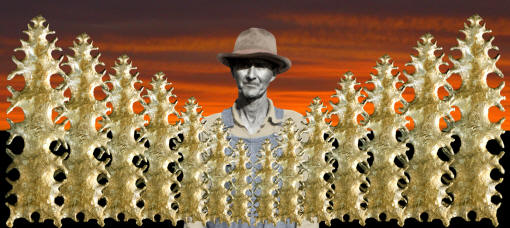 Abstract image of Mack Tussinger and his eccentrics.