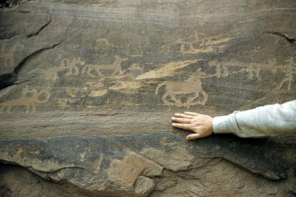 Late period rock art showing horses, Arizona.