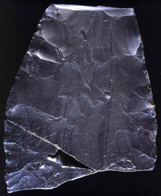 Large broken biface from the Mesa site.