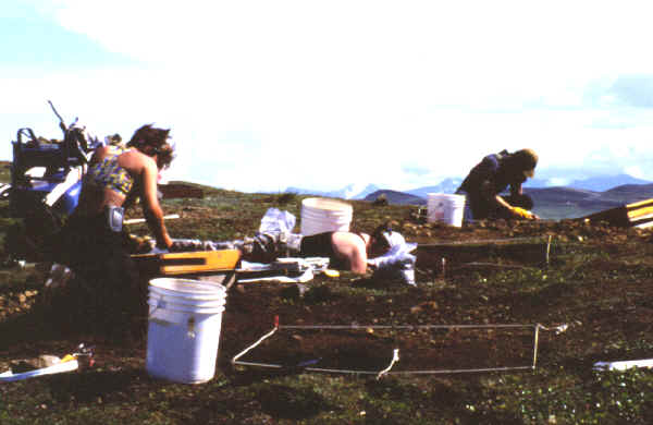 Excavations in progress on a nice day on the Mesa site.