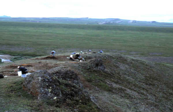 Excavation in progress on the Mesa site looking west.
