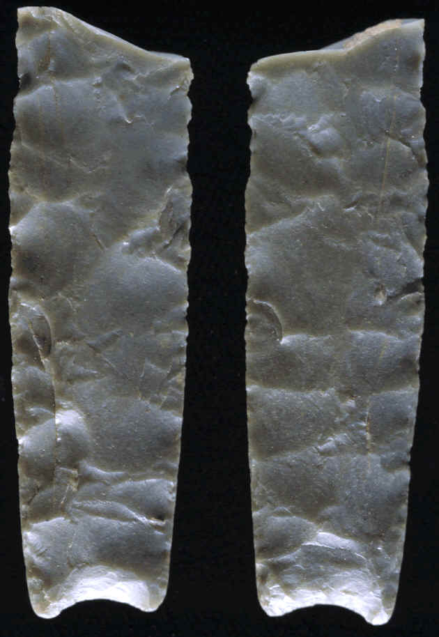 Both sides of a broken projectile point base from the Mesa site.