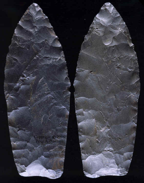 Mesa site projectile point.