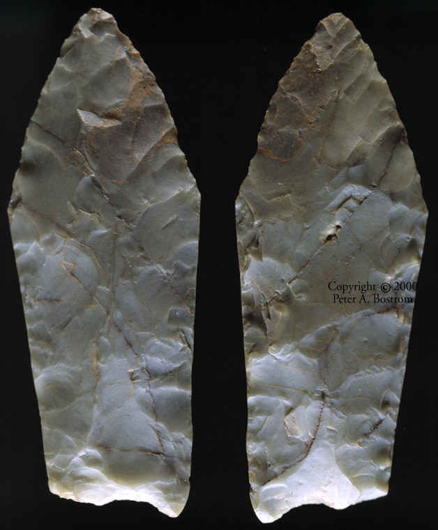 Mesa site projectile point.