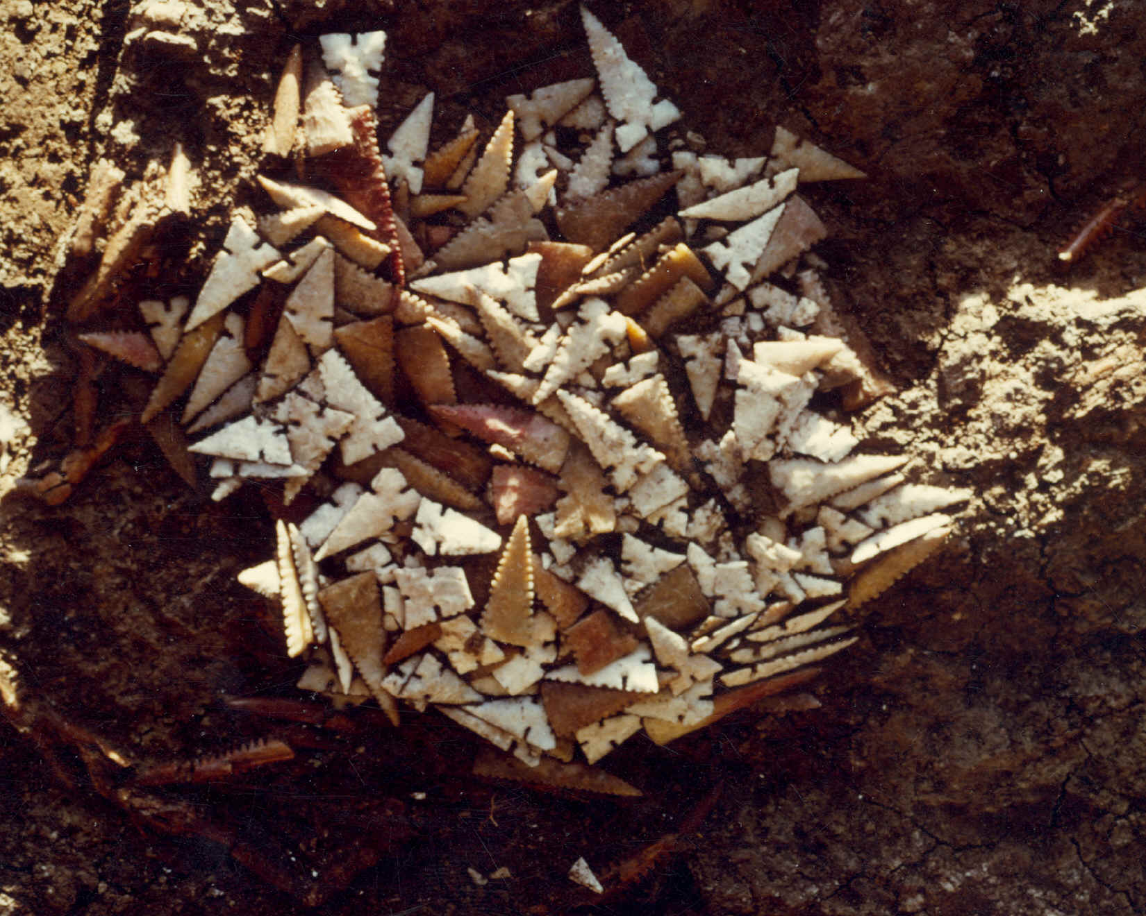 Cahokia point cache #1970 from mound 72.