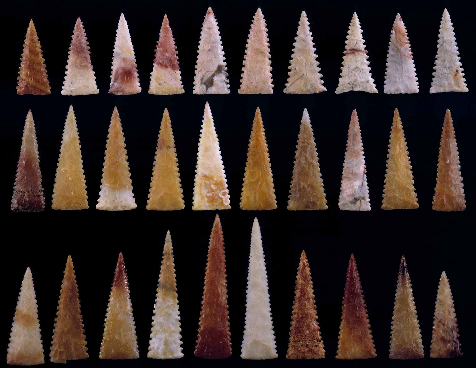 Large group of serrated unnotched Cahokia points.