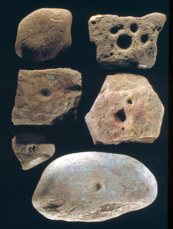 Six Dalton anvil stones from the Olive Branch site.