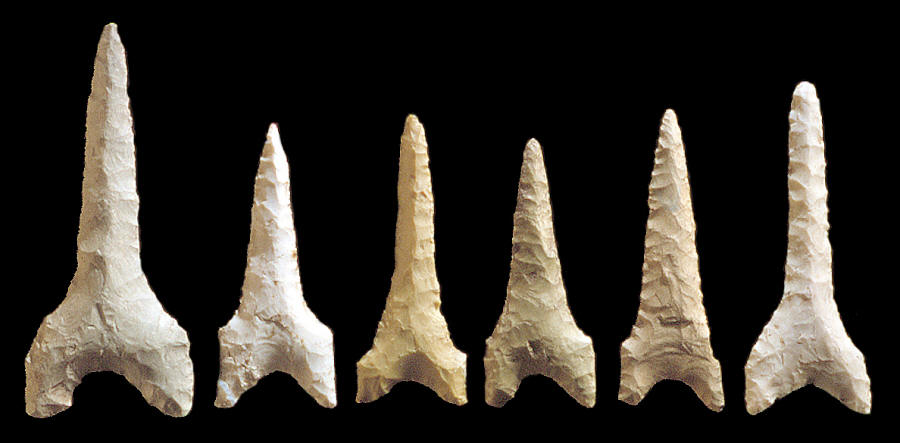 Six Dalton "drills" from the Olive Branch site.