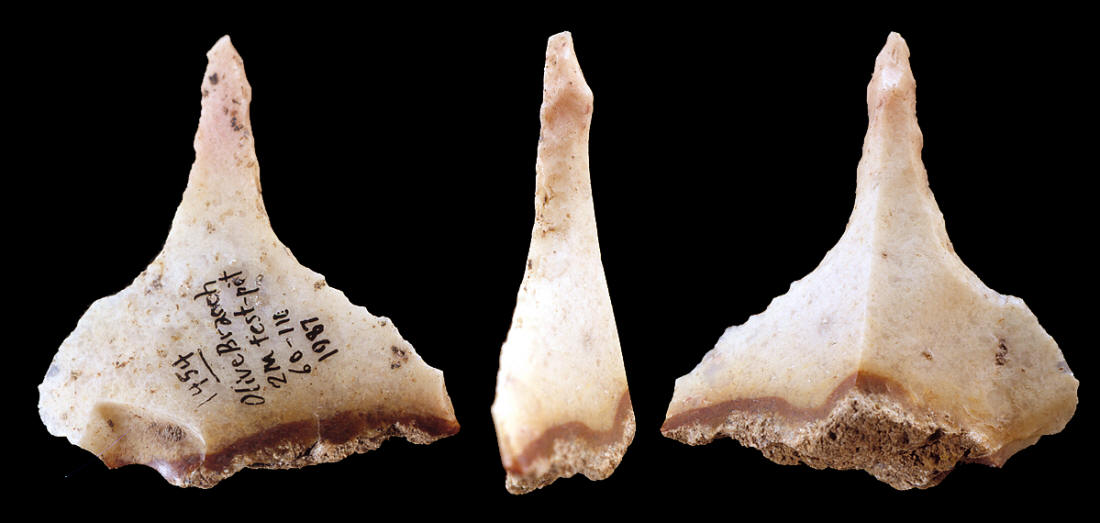 Dalton awl from the Olive Branch site.