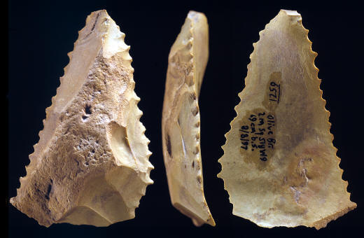 Dalton denticulate from the Olive Branch site.