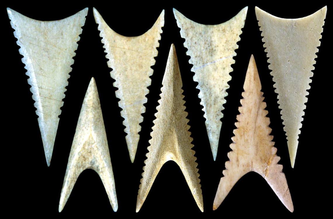 Triangular serrated bone Cahokia points.