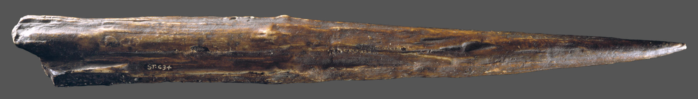 Cast of the Clacton spear.
