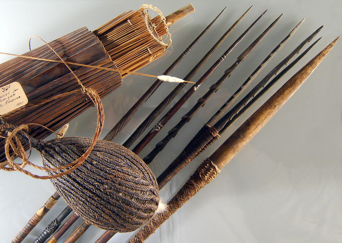 Wood pointed arrows from New Guinea and blowgun darts.