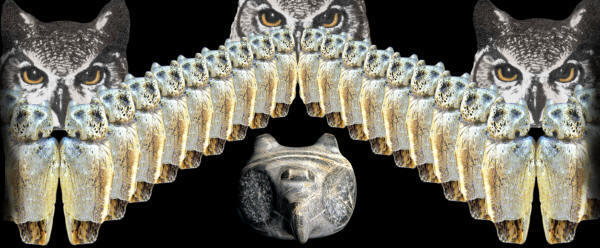 Abstract image of owls.