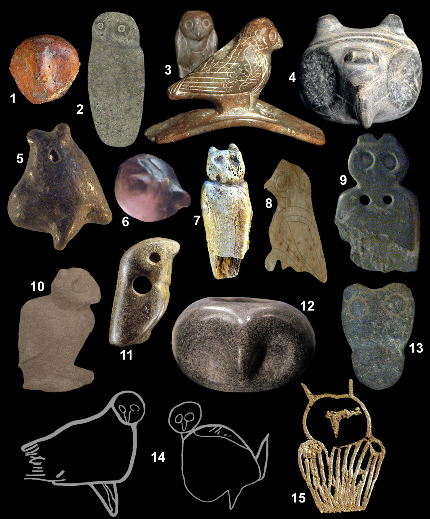Fifteen prehistoric owl images.