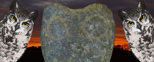Abstract image of owls.