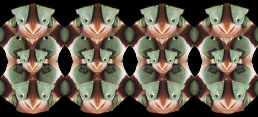 Abstract image of perforated pebble pendants.