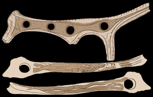 Two pierced staffs from Upper Paleolithic sites in France.