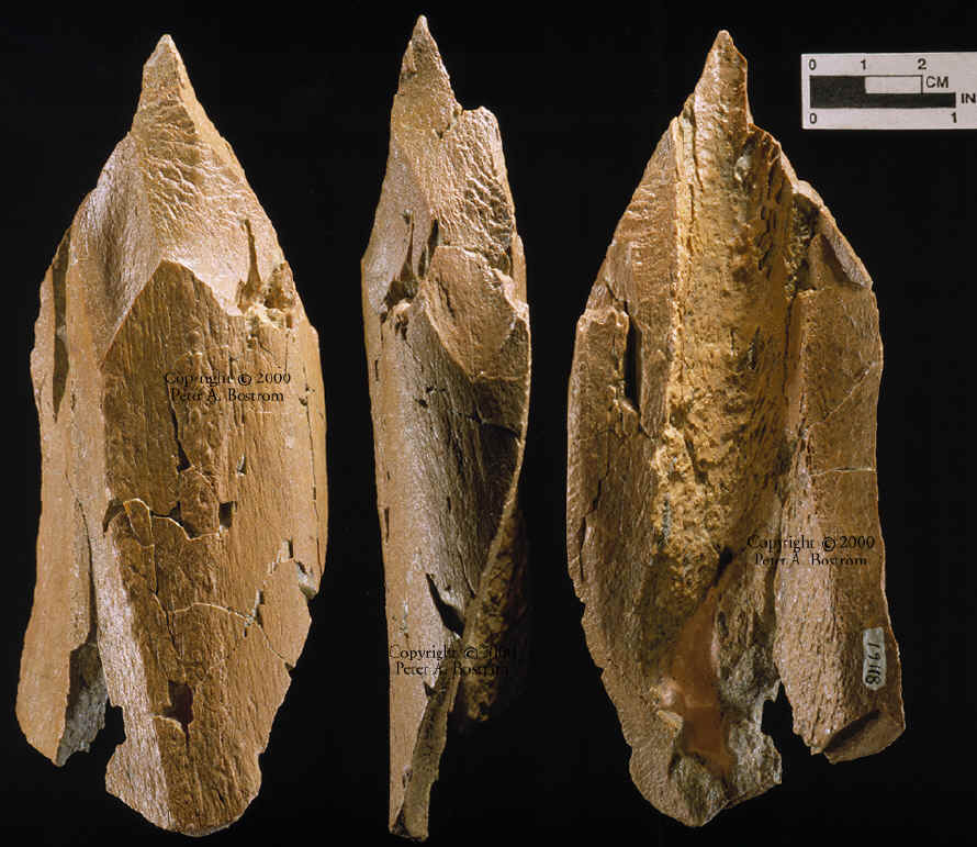 Pointed mammoth bone from Lange Ferguson triple exposed.