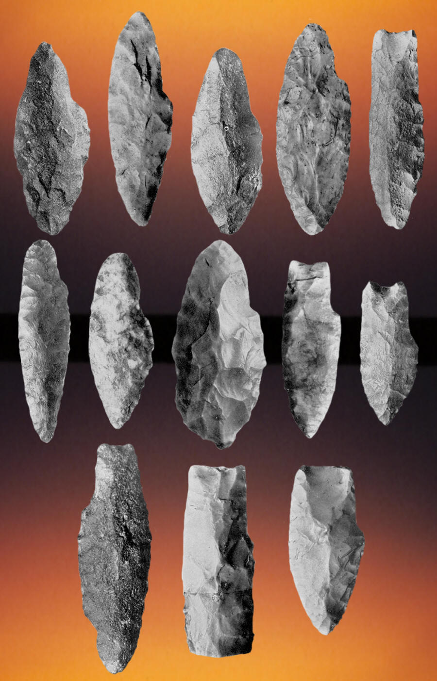 13 Sandia points found in Sandia Cave, New Mexico.