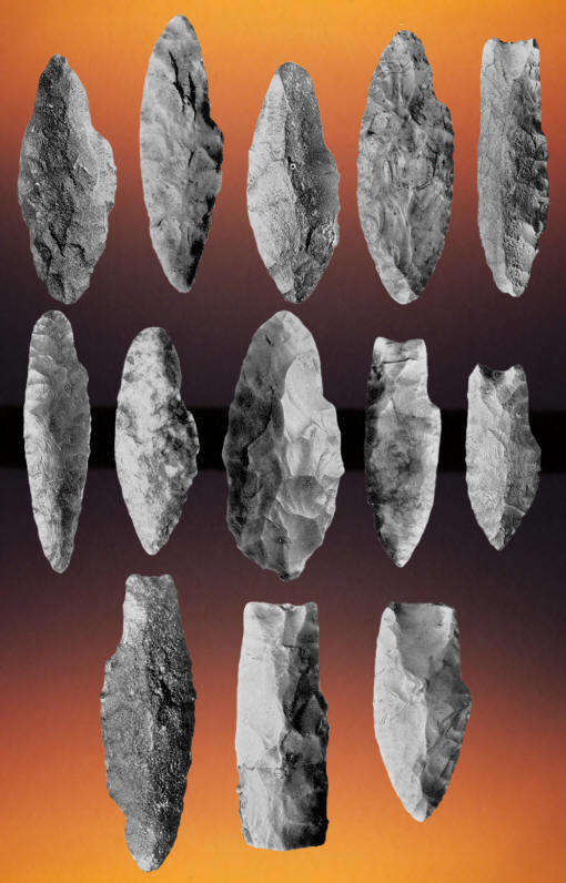 13 of the 19 Sandia points found in Sandia Cave.