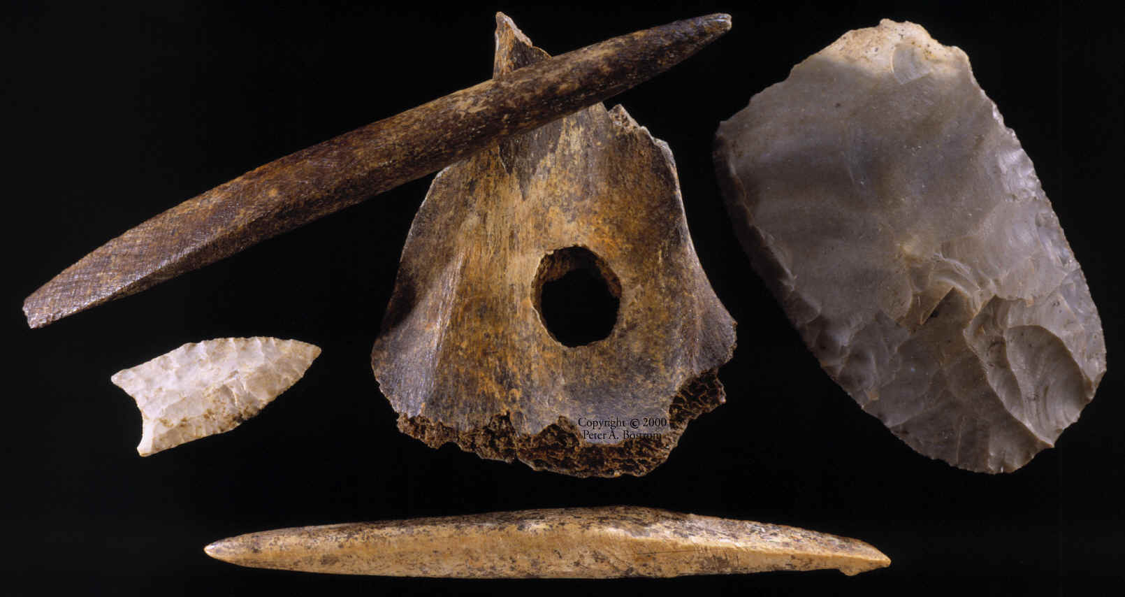 Paleo-Indian artifacts excavated from Sheriden Cave.