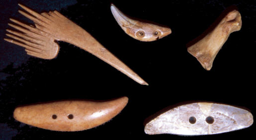 Bone, shell & drilled tooth artifacts from the Snyders site.