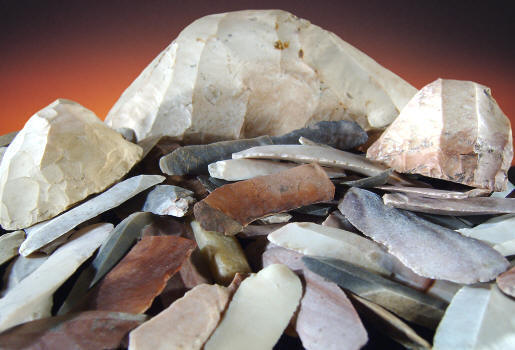 Cores & Lamellar blades from Calhoun County, Illinois.