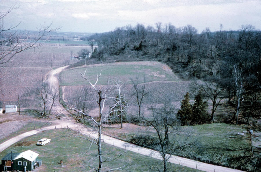 The Snyders site, Calhoun County, Illinois.