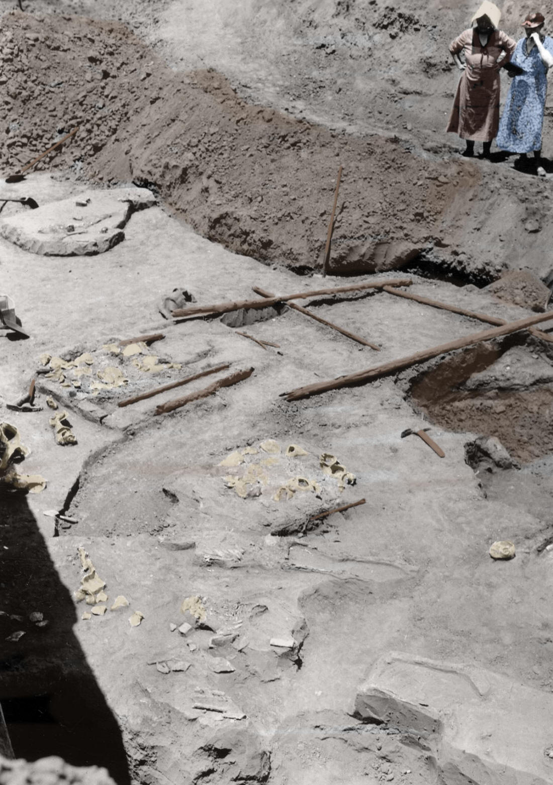 Cedar poles & shell caches on floor plan of mortuary tomb.