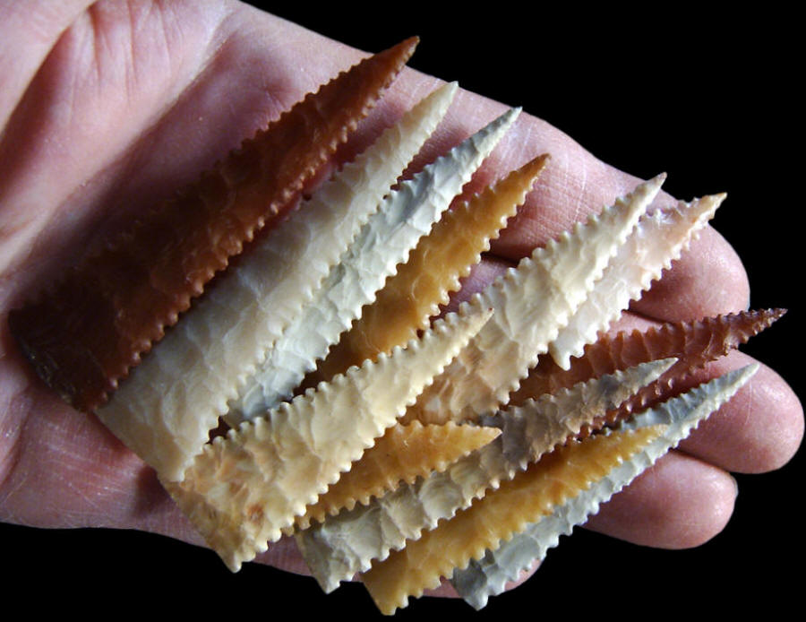 Triangular serrated arrow points,  Mound 72 Cahokia.