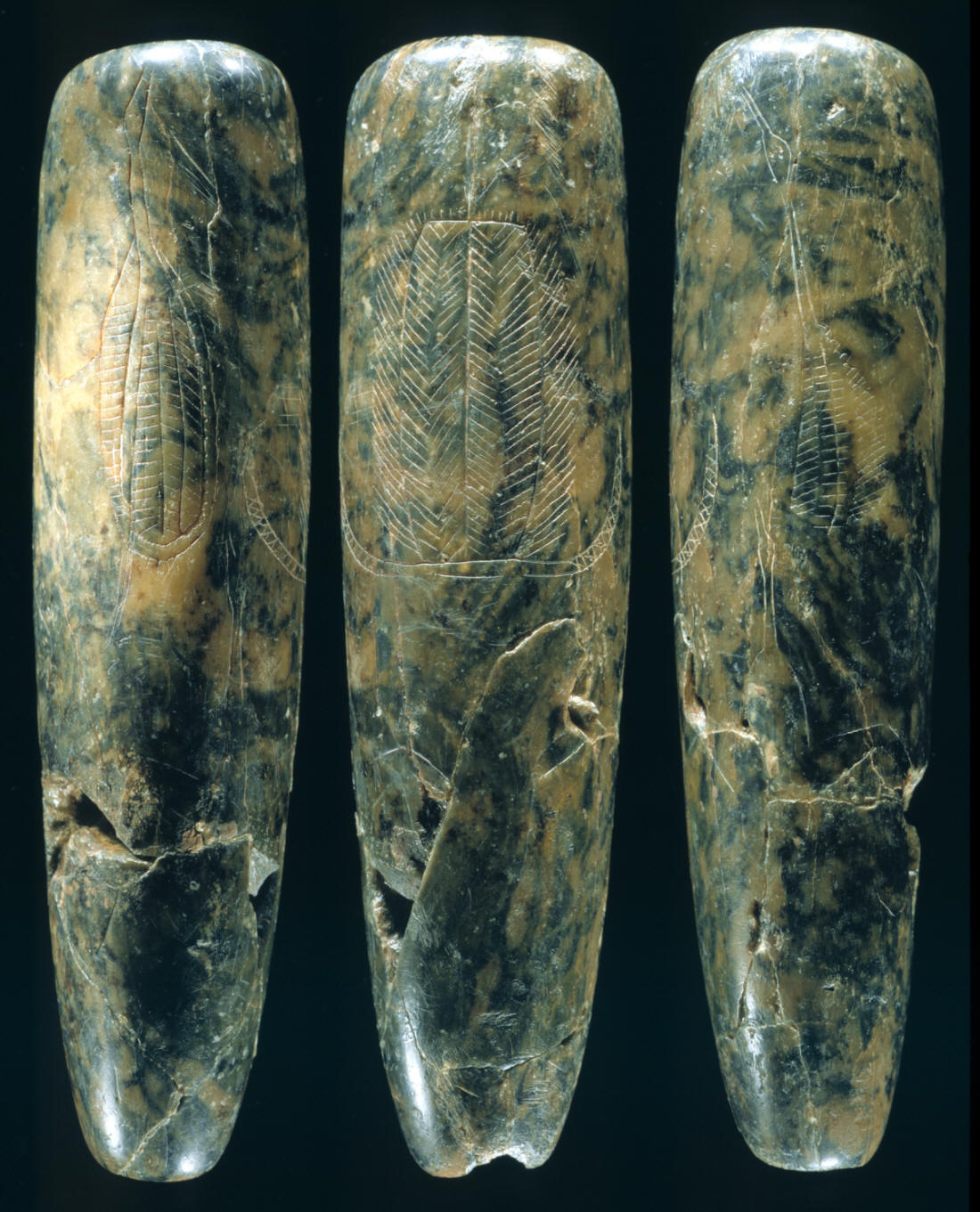 Largest tube pipe from the Coal Draw site cache.