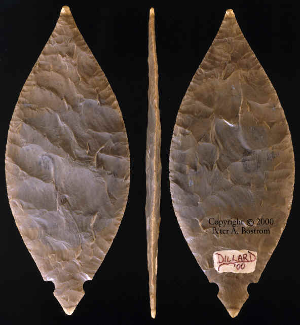 Fulton Turkey Tail by Tim Dillard.