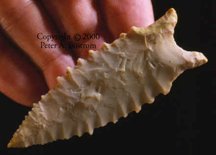 Sloan site serrated Dalton point.