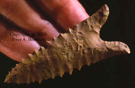 Sloan site serrated dalton point.
